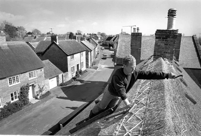Framed Print : Thatcher working on Somerset cottage -2 Framed Print : Thatcher working on Somerset cottage -2