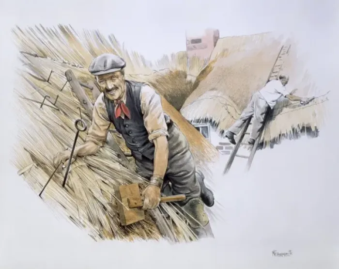 Framed Print : Two thatchers at work Framed Print : Two thatchers at work