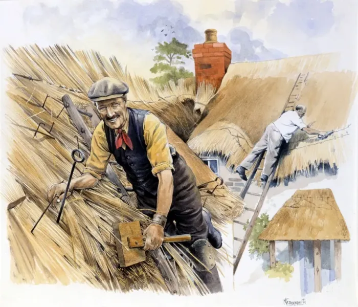 Framed Print : Two thatchers at work Framed Print : Two thatchers at work