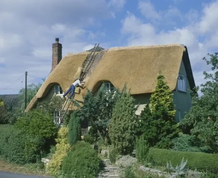 Framed Print : Thatching a Cottage Framed Print : Thatching a Cottage