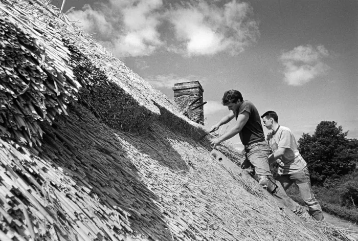 Framed Print : Thatching Isaac Walton Cottage -3 Framed Print : Thatching Isaac Walton Cottage -3