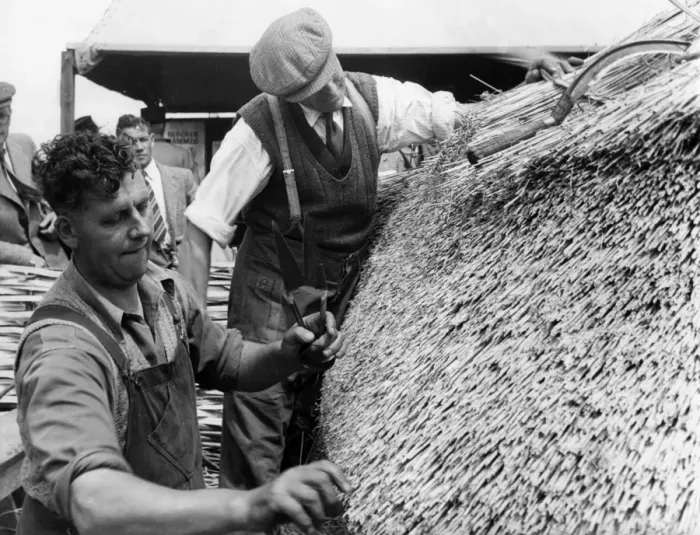 Framed Print : Thatching a Roof / 1950S Framed Print : Thatching a Roof / 1950S