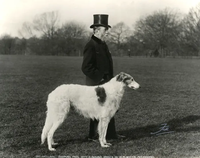 Framed Print : Thomas Fall with borzoi Framed Print : Thomas Fall with borzoi