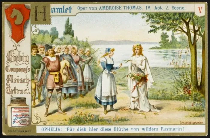 Framed Print : Thomas / Hamlet / Liebig 5 Framed Print : Thomas / Hamlet / Liebig 5