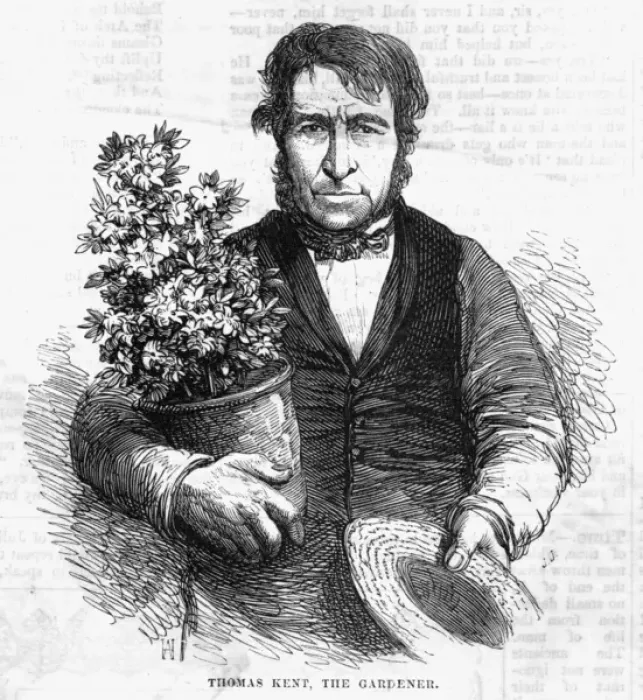 Framed Print : Thomas Kent, gardener Framed Print : Thomas Kent, gardener