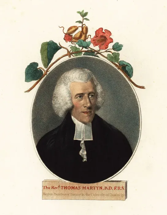 Framed Print : Thomas Martyn, Professor of Botany, Cambridge University Framed Print : Thomas Martyn, Professor of Botany, Cambridge University