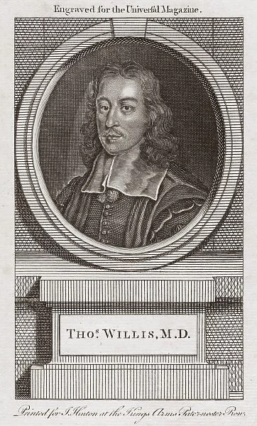 Thomas Willis