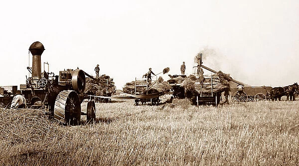 Threshing on the Canadian Prairies, early 1900s
