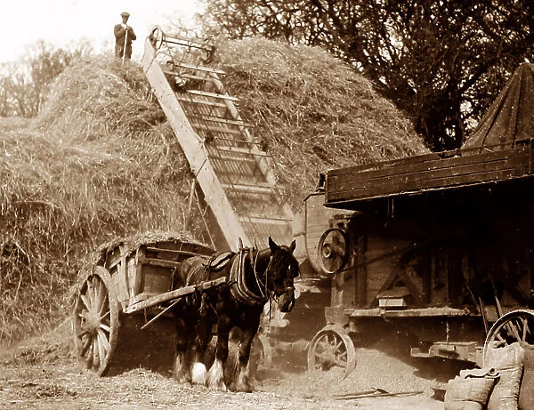 Threshing during haymaking, probably 1920s