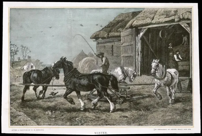 Framed Print : THRESHING WITH HORSES Framed Print : THRESHING WITH HORSES