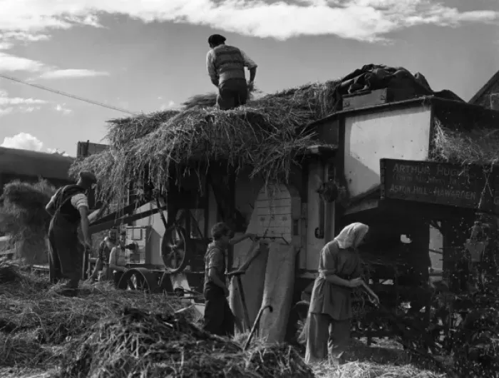 Framed Print : Threshing Oats Framed Print : Threshing Oats