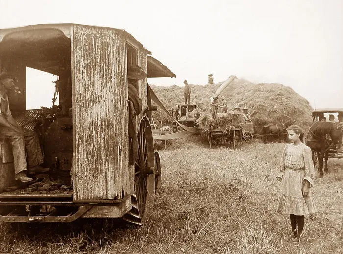 Framed Print : Threshing oats Illinois USA early 1900s Framed Print : Threshing oats Illinois USA early 1900s