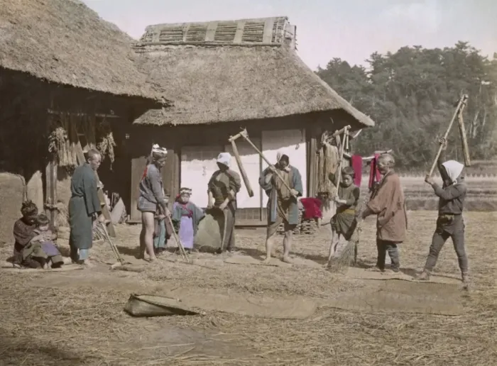 Framed Print : Threshing rice, Japan Framed Print : Threshing rice, Japan