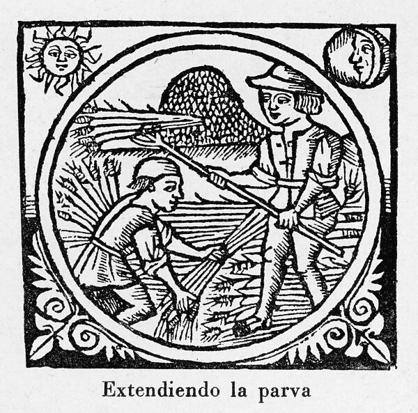 Threshing, Spain 1511 -2