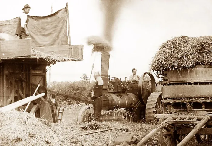 Framed Print : Threshing with a traction engine Framed Print : Threshing with a traction engine