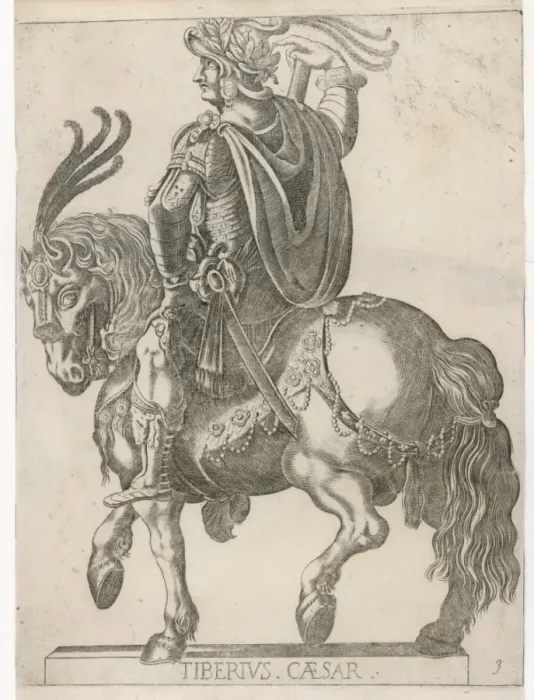 Framed Print : Tiberius Caesar / Horse Framed Print : Tiberius Caesar / Horse