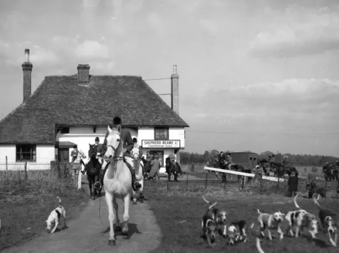 Framed Print : The Tickham Foxhounds Framed Print : The Tickham Foxhounds
