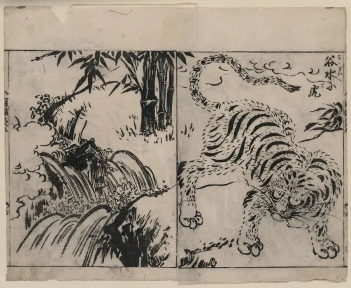 Framed Print : Tiger near a cataract Framed Print : Tiger near a cataract