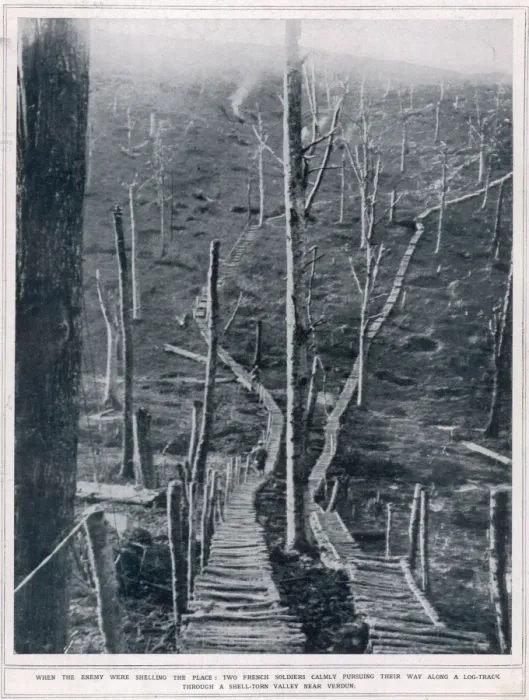 Framed Print : Timber roads on the battlefields near Verdun Framed Print : Timber roads on the battlefields near Verdun