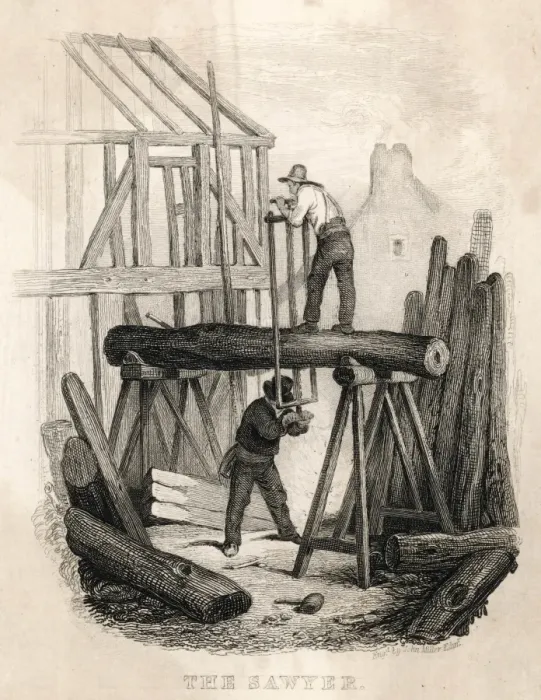 Framed Print : Timber Sawing / 1835 Framed Print : Timber Sawing / 1835
