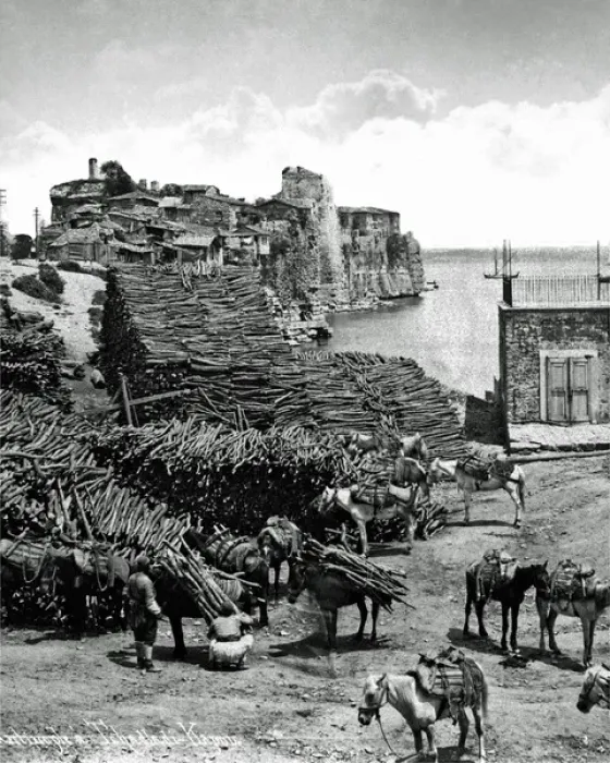 Framed Print : Timber stack on quayside, Istanbul, Turkey Framed Print : Timber stack on quayside, Istanbul, Turkey