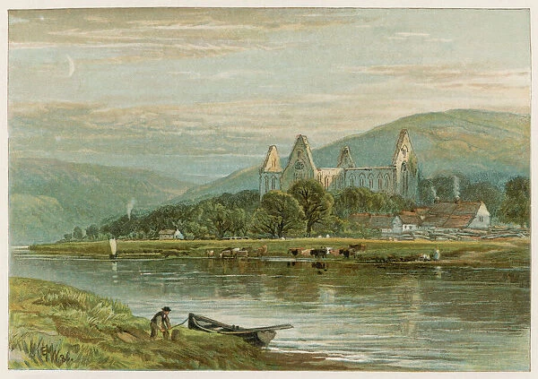 Tintern Abbey  /  1888