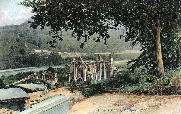 Tintern Abbey, Tintern, Monmouthshire