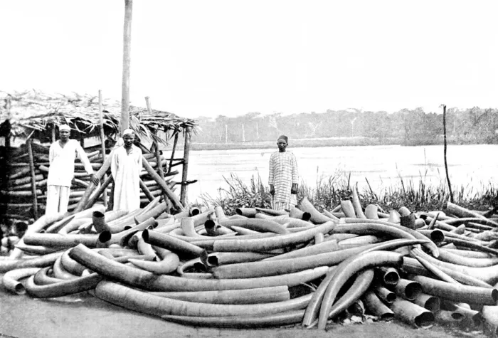 Framed Print : Tippoo Tibs Ivory Store at Stanley Falls, Lualaba River, c Framed Print : Tippoo Tibs Ivory Store at Stanley Falls, Lualaba River, c