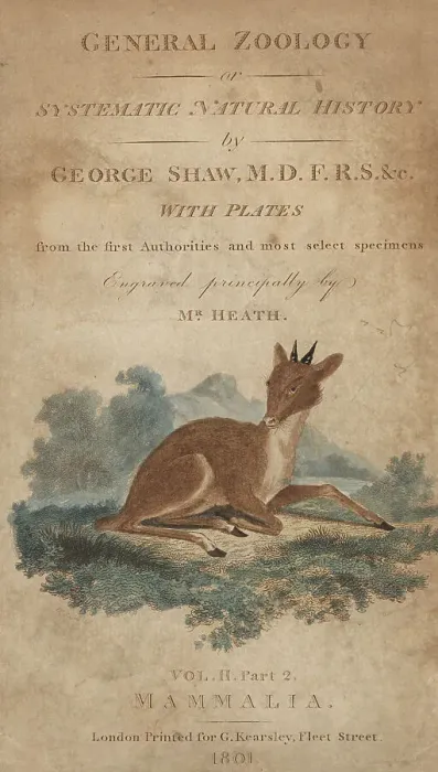 Framed Print : Title page from George Shaw's General Zoology: Mammalia Framed Print : Title page from George Shaw's General Zoology: Mammalia