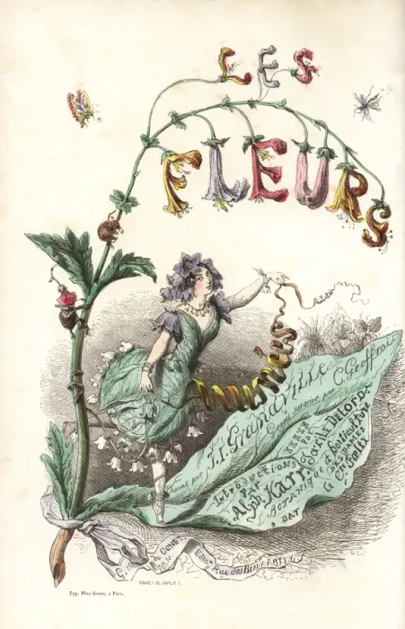 Framed Print : Title page with illustration of flower fairy Framed Print : Title page with illustration of flower fairy