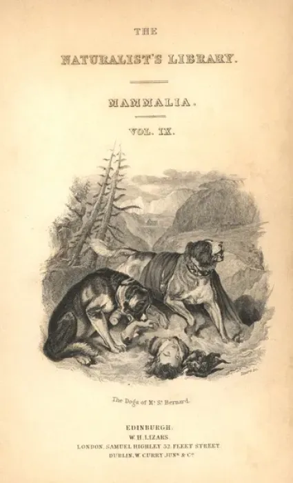Framed Print : Title page with vignette of St Bernard dogs Framed Print : Title page with vignette of St Bernard dogs