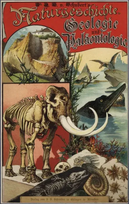 Framed Print : Title page with vignettes of dinosaurs, skeletons Framed Print : Title page with vignettes of dinosaurs, skeletons