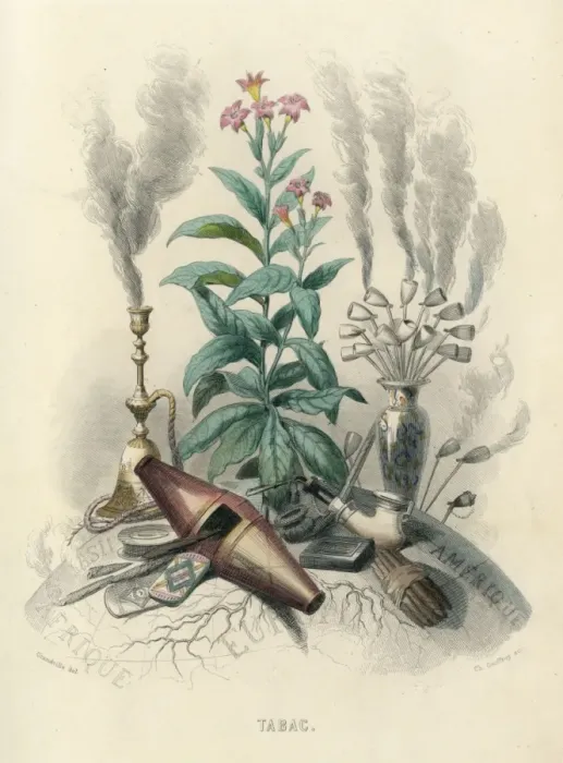 Framed Print : Tobacco, Grandville Framed Print : Tobacco, Grandville