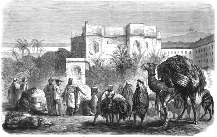 Framed Print : Tobacco industry in Algiers Framed Print : Tobacco industry in Algiers