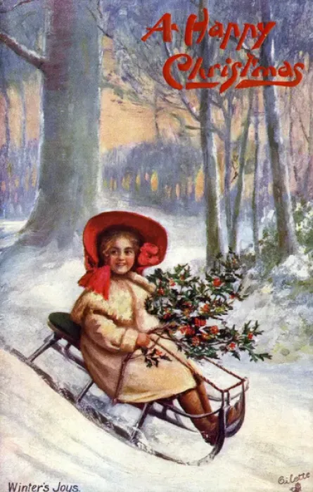 Framed Print : Tobogganing
