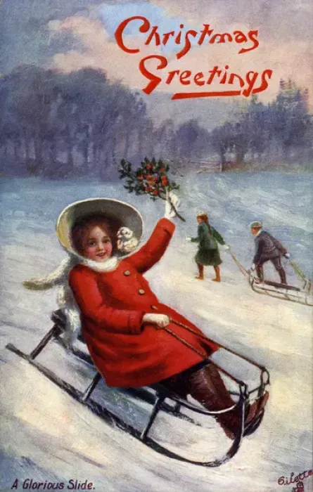 Framed Print : Tobogganing Framed Print : Tobogganing