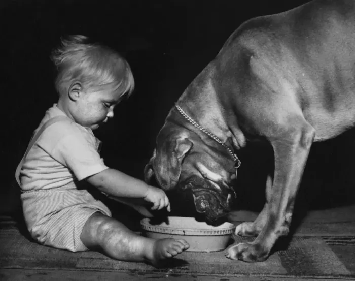 Framed Print : Toddler with dog and bowl Framed Print : Toddler with dog and bowl
