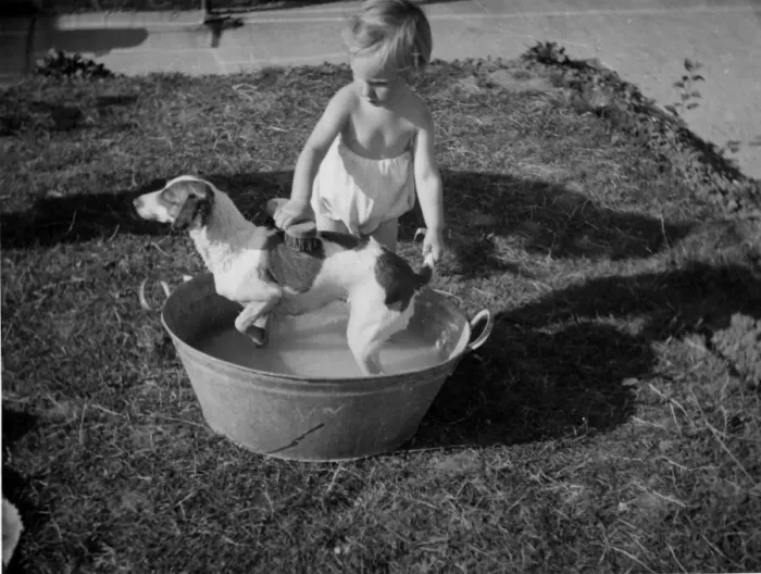 Framed Print : Toddler giving dog a bath in the garden Framed Print : Toddler giving dog a bath in the garden