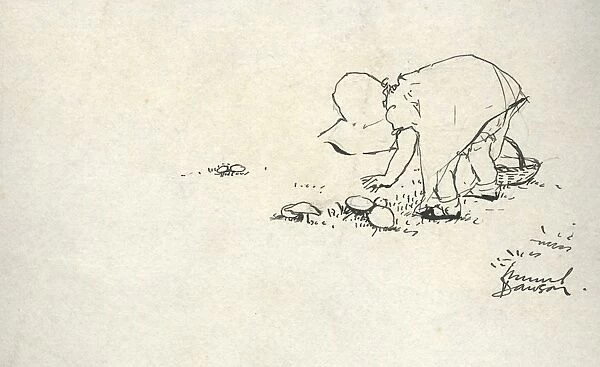 Toddler picking mushrooms by Muriel Dawson