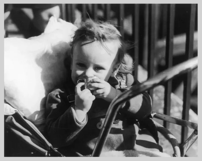 Framed Print : Toddler in a Pushchair Framed Print : Toddler in a Pushchair