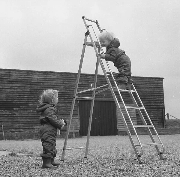 Two toddlers playing with a step ladder