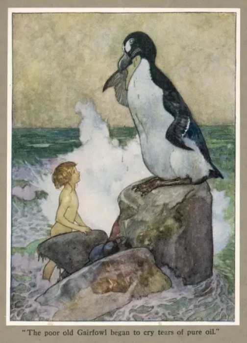 Framed Print : Tom and the Gairfowl Framed Print : Tom and the Gairfowl