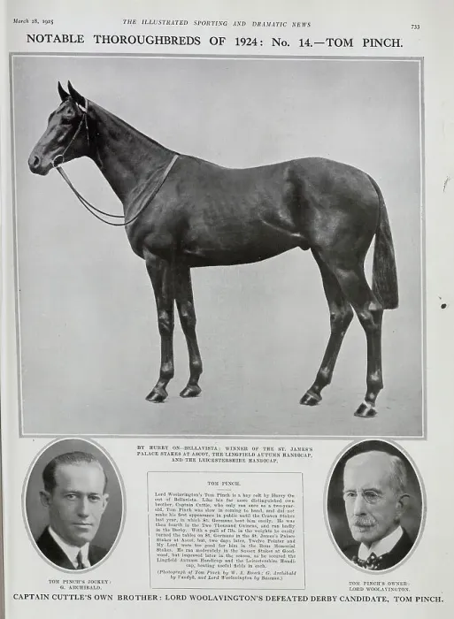 Framed Print : Tom Pinch, Racehorse Framed Print : Tom Pinch, Racehorse
