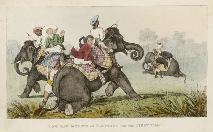 Framed Print : Tom Raw : on Elephant Framed Print : Tom Raw : on Elephant