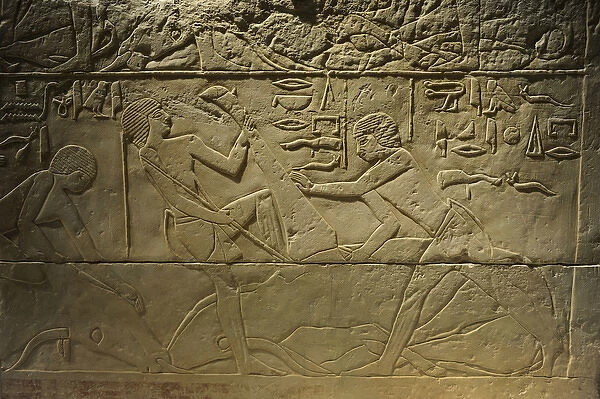 Tomb relief depicting a butchering scene. Egypt
