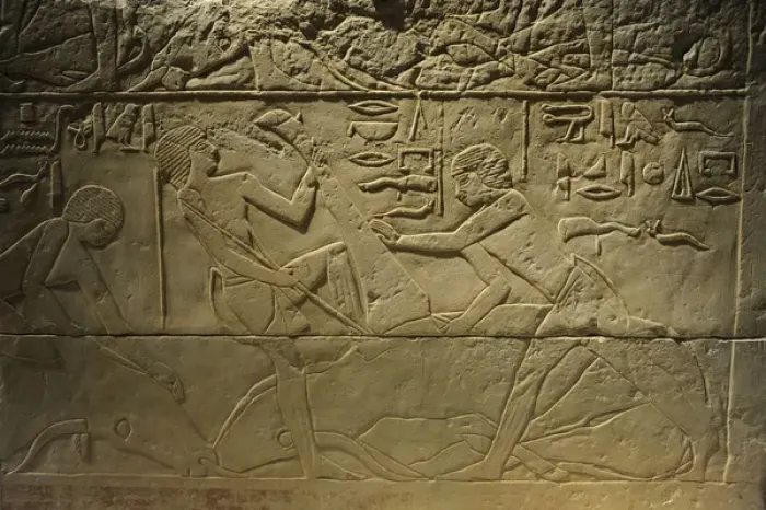 Framed Print : Tomb relief depicting a butchering scene. Egypt Framed Print : Tomb relief depicting a butchering scene. Egypt