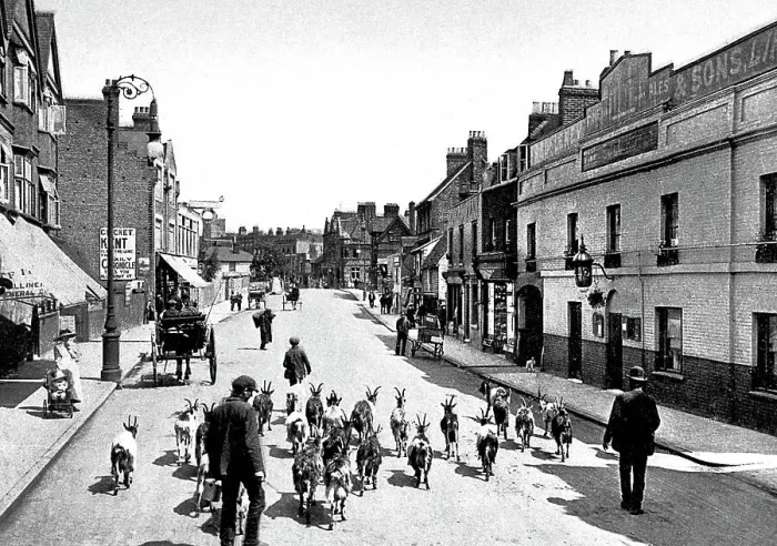 Framed Print : Tonbridge High Street early 1900s Framed Print : Tonbridge High Street early 1900s