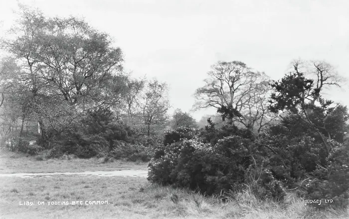 Framed Print : On Tooting Bec Common Framed Print : On Tooting Bec Common