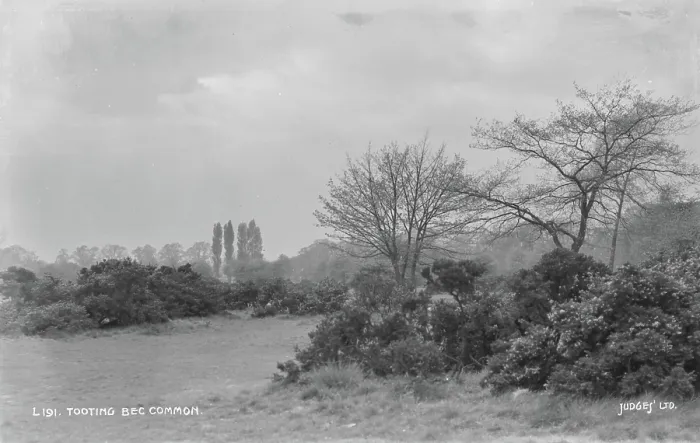 Framed Print : Tooting Bec Common Framed Print : Tooting Bec Common