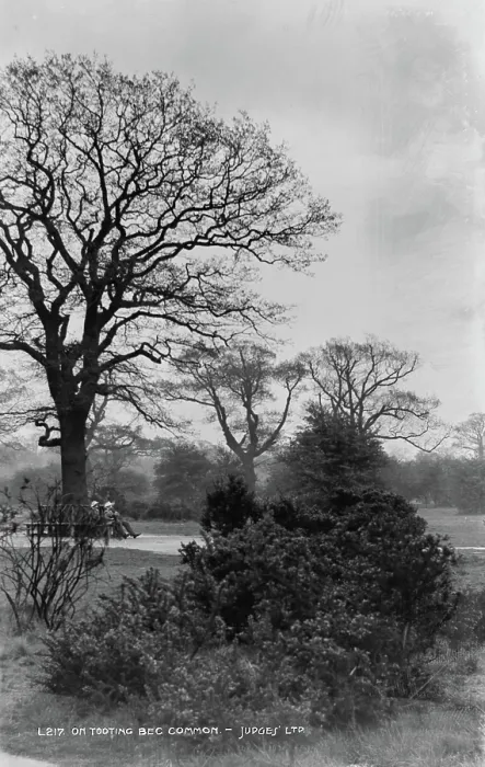 Framed Print : On Tooting Bec Common Framed Print : On Tooting Bec Common
